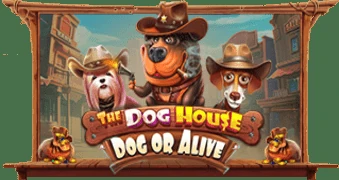 Обложка слота The Dog House – Dog or Alive